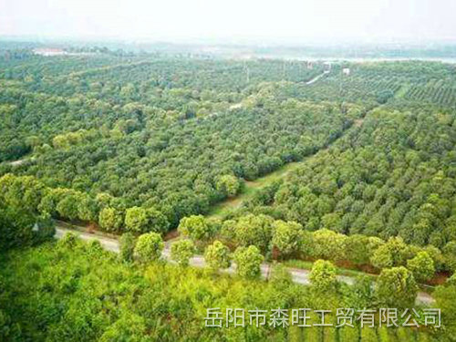 案例6