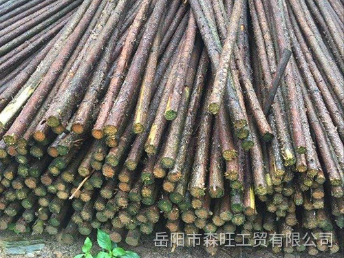 園林撐桿2
